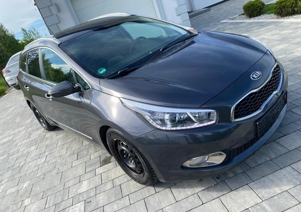 Kia Ceed cena 23900 przebieg: 163900, rok produkcji 2013 z Świecie małe 379